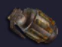 Plasmagran.jpg