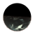 DarkClawkl.png