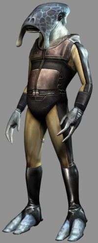 Selkath.jpg