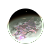 Planetsissubokl.png