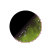 Alsekkl.png