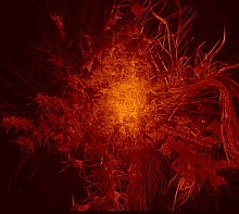 Swarm03.jpg
