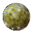 Falleenkl.png