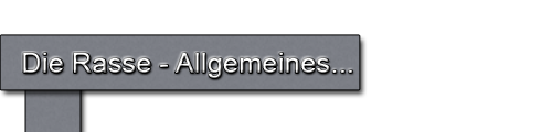 Rasseallgemeines.png