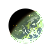 Planetkamparaskl.png