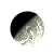 Sevonnkl.png