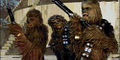 349 wookie.jpg