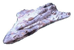 564 MC80-.jpg