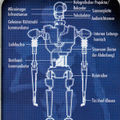 8t88droid.jpg