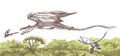 Accipipteros.jpg