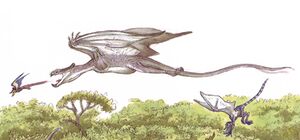 Accipipteros.jpg