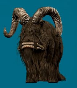 Bantha.jpg