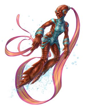 CalamariWeiblich.jpg