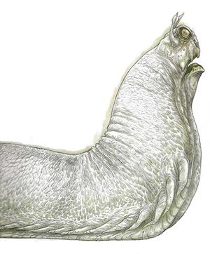 Dagobahriesenschnecke.jpg