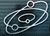 GINN-logo.JPG