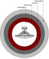 Vorschaubild der Version vom 23:30, 6. Dez. 2009