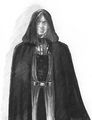 Lord der Dunklen Seite.jpg