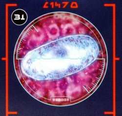Midi-Chlorianer.jpg