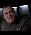 Motti.jpg