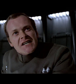 Motti.jpg