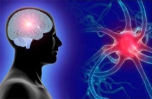 Neurologie.jpg