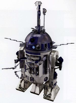 R2.jpg