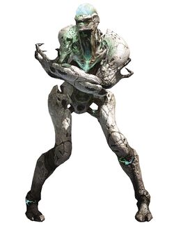 Shkaam Seeker.jpg