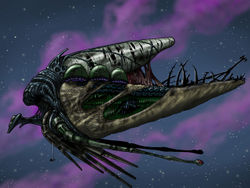 Vong01.jpg