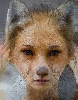 Vulpe.jpg