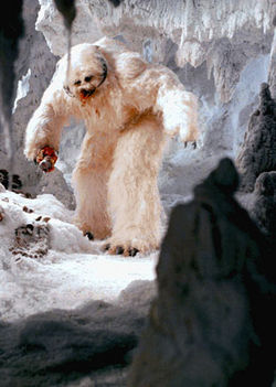 Wampa1.jpg