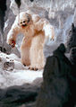 Wampa1.jpg