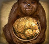 Wookiee-ookiees.jpg